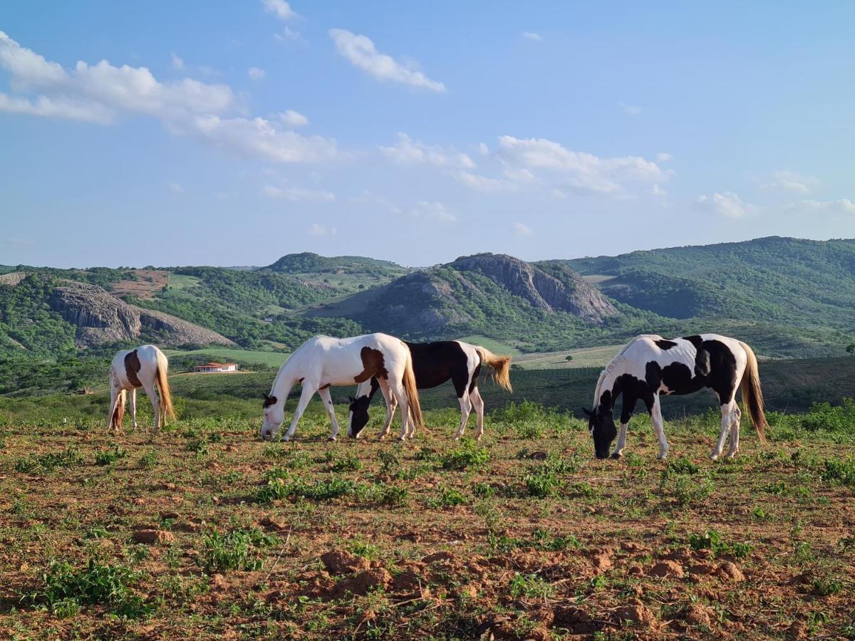 Rancho Trevo Hotel Serra de São Bento Eksteriør billede